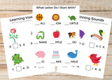 PreK/Kindergarten Learning BUNDLE (79 Worksheets)