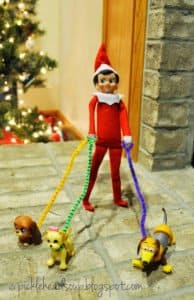 elf walking the dogs