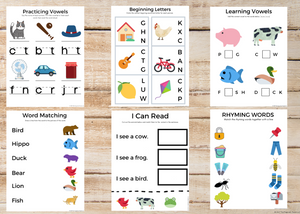 ABCs / Phonics / Rhyming BUNDLE (45 Worksheets)