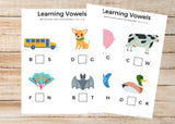 ABCs / Phonics / Rhyming BUNDLE (45 Worksheets)