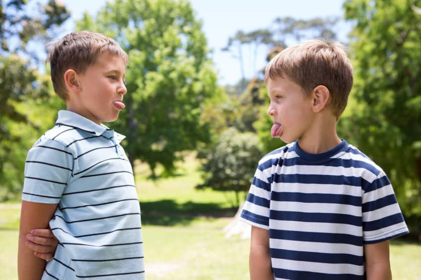 sibling rivalry and sibling fighting