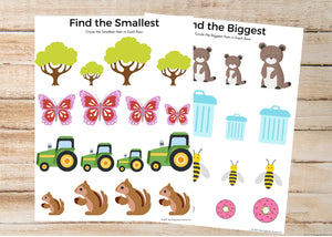 Biggest & Smallest Worksheets